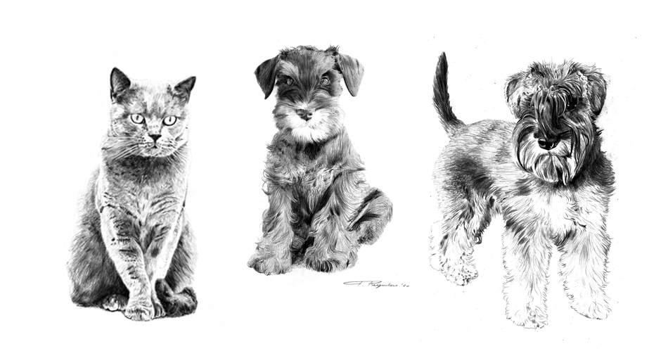 tekening laten maken honden en kat